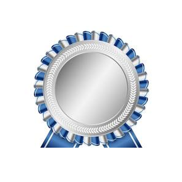 SILVER Membership badge